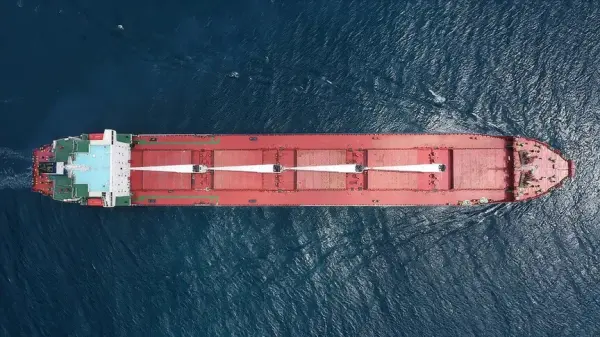 Karadeniz'de tahıl yüklü bekleyen ticari gemiler ve liman tesisleri