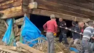 Kastamonu'da Ağır Vefat: Ağıl Çökmesi 63 Yaşındaki Kadın ve Onlarca Hayvanı Yuttu