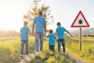 Kene Temasında Dikkat: Kırım Kongo Kanamalı Ateşi (KKKA) Riskine Karşı Hayati Uyarılar