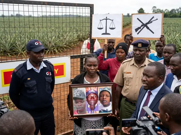 Kenya'daki Del Monte ananas çiftliğinde güvenlik görevlileri