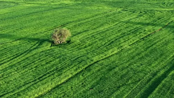 Kırsal kalkınma ve modern sulama sistemlerini temsil eden görsel