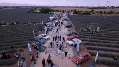Konya'da 5. Karatay Lavanta Günleri Başladı: Mor Bahçeler Ziyaretçilerini Ağırlıyor