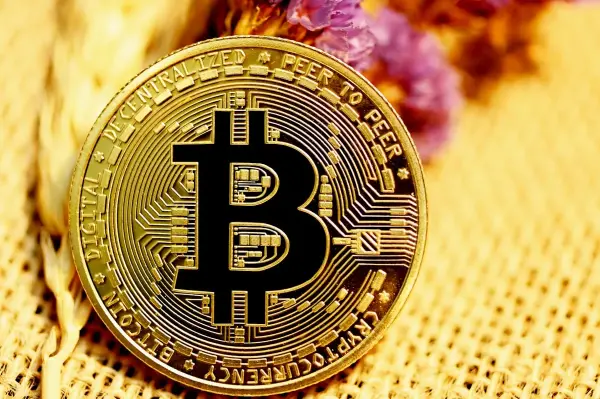 Küresel finans piyasalarını temsil eden dijital grafikler ve borsa verileri