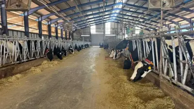 MAKÜ'den Yapay Zeka Destekli Tarım ve Hayvancılıkta Nitelikli İnsan Kaynağı Hamlesi
