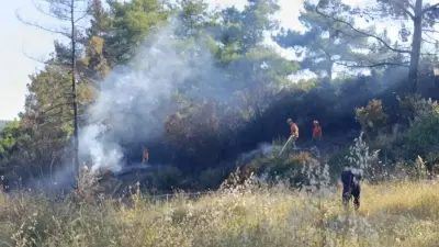 Manavgat'ta Orman Yangını: Spiral Kıvılcımları Felakete Yol Açtı, Bir Şüpheli Gözaltında