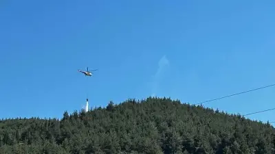 Manisa'da Orman Yangını Kontrol Altına Alındı: Ekipler 1 Saatlik Çalışmayla Müdahale Etti