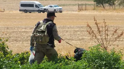 Mardin Derik'te mısır tarlasında bulunan Selahaddin Karayel'in cansız bedeni