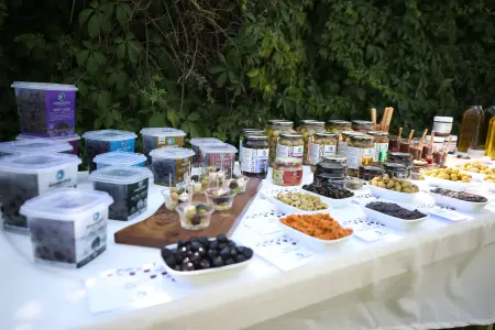Marmarabirlik zeytinyağlı kakaolu fındık kreması