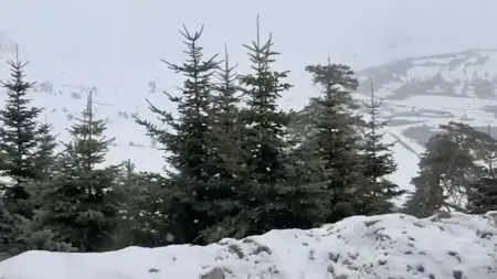 Bolu ve Düzce'nin yüksek kesimlerinde Mayıs ayında yağan kar manzarası