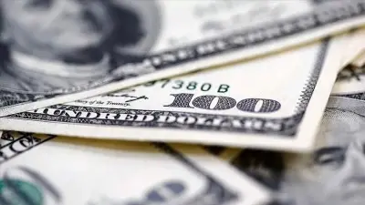 Merkez Bankası'ndan Firmalara Döviz Dönüşümü Desteği: Süre Uzatıldı