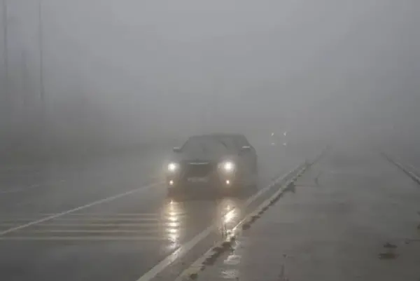 Türkiye haritası üzerinde yağmur ve sis ikonları gösteren hava durumu tahmini.
