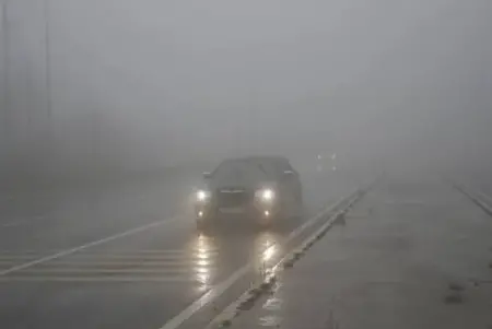Türkiye haritası üzerinde yağmur ve sis ikonları gösteren hava durumu tahmini.