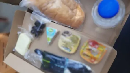NATO Zirvesi Güvenlik Personeli