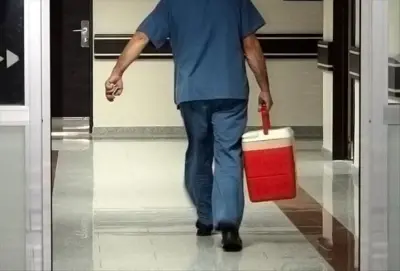 Organ Bağışında Dijital Dönüşüm: 143 Bini Aşkın Vatandaş Dijital Vasiyet Oluşturdu