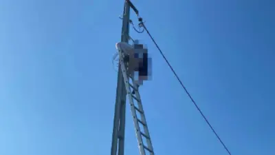 Sakarya'da Feci Kaza: Elektrik Direğinde Can Verdi