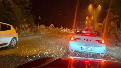 Sakarya'da Milyonlarca Kelebeğin 'Ölüm Dansı' Yeniden Başladı: Köprü Beyaz Örtüyle Kaplandı