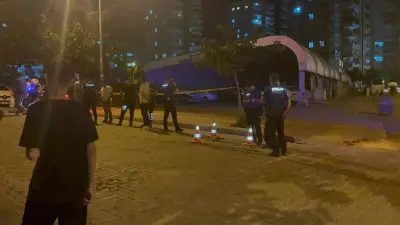Şanlıurfa'da Kanlı Kavga: Annenin Hayatı Söndü, Oğlu Ağır Yaralandı