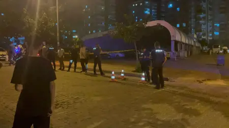 Şanlıurfa'da kavgayı ayırmaya çalışırken vurulan annenin trajedisi
