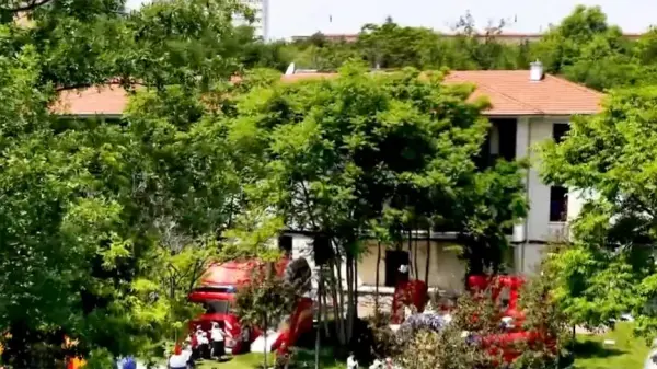Bakan Kurum ve çocukların Saraçoğlu Mahallesi'ndeki Çevre Haftası etkinliklerinde çevre bilinci üzerine sohbeti