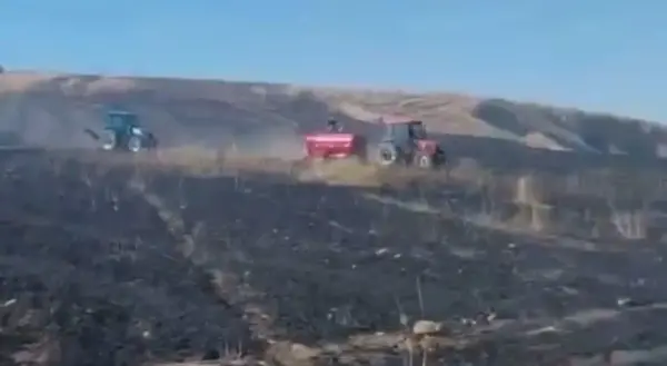 Siirt Kurtalan'da yanan buğday tarlası ve müdahale eden ekipler