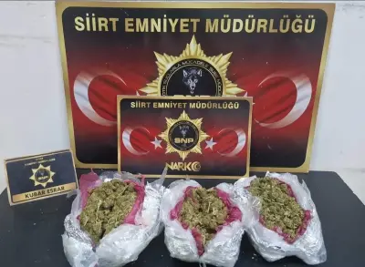 Siirt'te Kapsamlı Operasyon: 33 Şahıs Yakalandı, Milyonlarca Liralık Suç Geliri Ortaya Çıkarıldı
