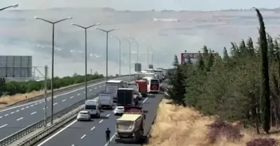 Silivri'de Büyük Yangın Paniği: TEM Otoyolu Kapatıldı, Evler Tahliye Edildi