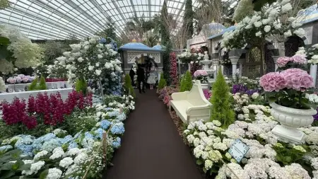 Singapur'da İstanbul temalı 'Blue Beauties' sergisinden bir görünüm