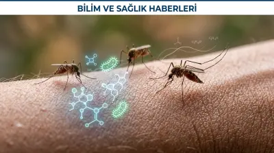 Sivrisineklerin Tercihi: Cilt Bakterileri ve Kişiye Özgü Koku Profilleri Belirleyici