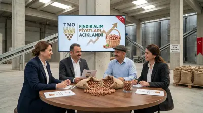 TMO'dan Fındık Üreticisine Destek: Yeni Alım Fiyatları Açıklandı