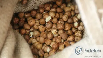 Turk findigi ihracatta 1.7 milyar dolar barajini asti