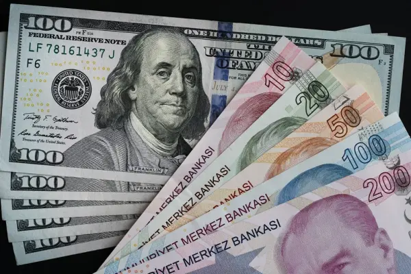 Türk Lirası Değer Kaybı ve Döviz Kurları
