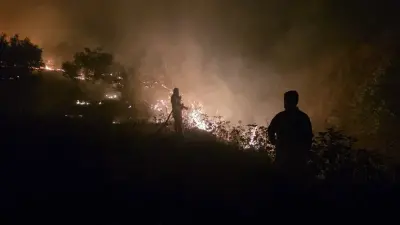 Türkiye'de Yangınlarla Mücadele: Adıyaman ve Manisa'da Devam, Mersin'de Söndürüldü
