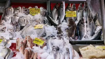 Türkiye Su Ürünleri İhracatında Cumhuriyet Tarihi Rekoru: İlk Yarıda 1 Milyar Dolar Aşıldı