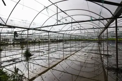 Türkiye Tarımında Doğal Afet Alarmı: İlk Altı Ayda 900 Bin Dekar Alan Zarar Gördü