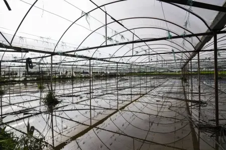 Sel suları altında kalmış tarım arazisi ve hasar tespiti yapan çiftçi
