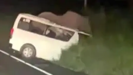 Uganda'da filin bir araca çarptığı kaza sonrası görüntü