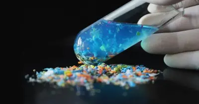 Vücuttaki Mikroplastikleri Haritalayan Yenilikçi Test Geliştirildi