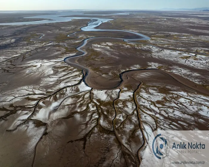 Colorado Nehri İçin Kritik Su Tasarrufu Planı: 3 Eyaletten Ortak Adım